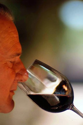 Nosing around: Hugo Casanova at work.