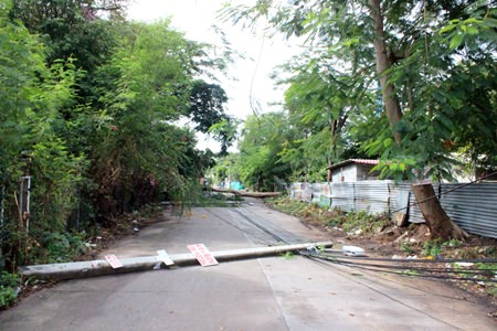 The tree across the road in the background fell across power lines during the storm early Monday morning, causing 4 utility poles to fall like dominos.
