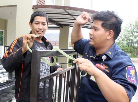 Songsit Neanhom considered the snake in his car as a stroke of luck and plans to buy lottery tickets with his license plate number.