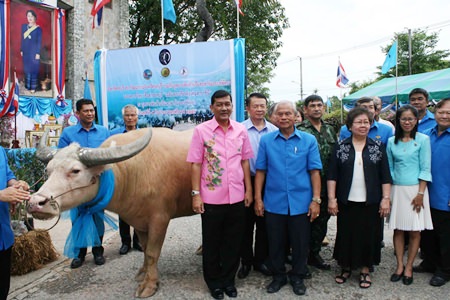 The Million Years Stone Park has donated Chonburi-bred buffalos to farming families in 11 districts in a belated celebration of HM the Queen’s Aug. 12 birthday.