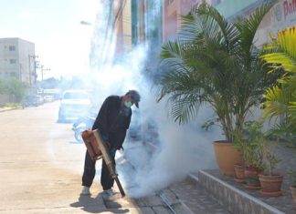 Workers from the Center of Disease Control and Prevention have been sent out armed with insecticide around the city daily to combat dengue fever.