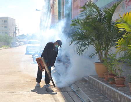 Workers from the Center of Disease Control and Prevention have been sent out armed with insecticide around the city daily to combat dengue fever.