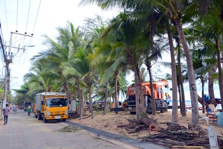 Workers from city hall cut tree branches along Jomtien Beach to keep tourists and locals safe from falling branches in the rainy season.