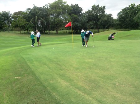 Greenwood Hole C3 - Green.