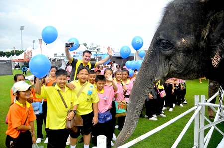 School children enjoyed the opportunity to get up close with the street elephants.