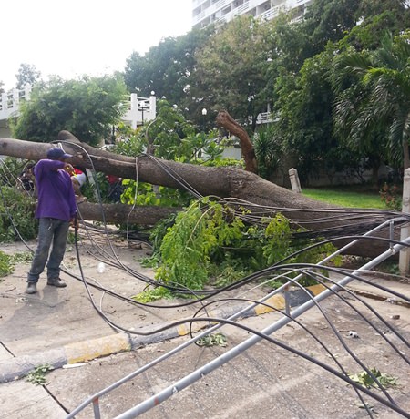 City maintenance crews work to clear the debris.