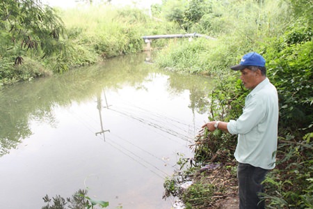 A villager points to the area where he and others spotted 3 crocodiles.