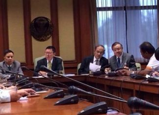 Chart Pattana Party wants neutral PM to break national deadlock