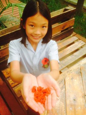 This clever Year 7 student made her own mini poppies to give to teachers.