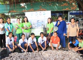 Pattaya School No. 8 has become the latest to take part in the YWCA Bangkok - Pattaya Center’s project to teach students how to grow and manage a mushroom farm.