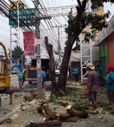 Pattaya Engineering Department workers cut trees and branches away from utility wires in front of Rattanakorn Market.