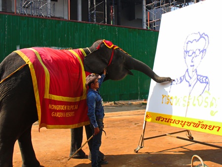 12-year-old Baitoey showed an artistic flair by drawing a portrait of the king at Nong Nooch Tropical Gardens.