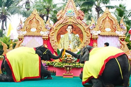Nong Nooch Tropical Gardens marked Father’s Day with elephants placing flower garlands in front of a portrait of His Majesty.