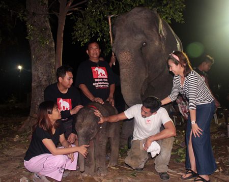 Many people came to see the newborn, which was displayed under the watchful eye of Mother Oyjai.
