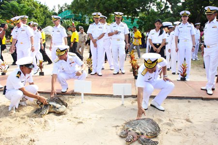 Hawksbill sea turtles Kalyakorn, 12, and Amornrat, 8, are released into the sea to commemorate HM the King’s 87th birthday.