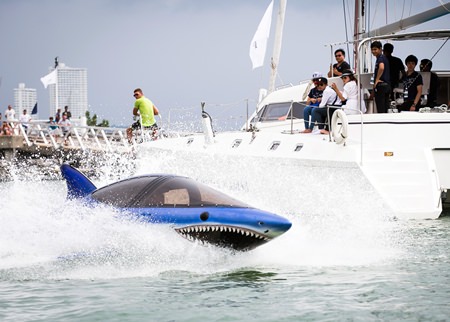 The array of water toys proved popular with visitors.