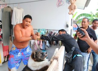 Dogs intervene in Ban Chang drug bust Sattahip police had to fight off dogs protecting alleged drug dealer Sagnad Sungrandorn.