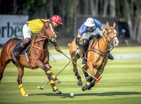 The 300 and BMW fought for third place in the playoff, BMW edging it 8-7.