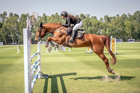 The 100,000 baht show-jumping competition was fiercely contested.