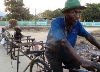 Sawang Poltamai peddles a bicycle along Sukhumvit Road towing a wooden trailer on which sits Nasan, a 5-month-old poodle wearing a hat, behind a fake steering wheel.
