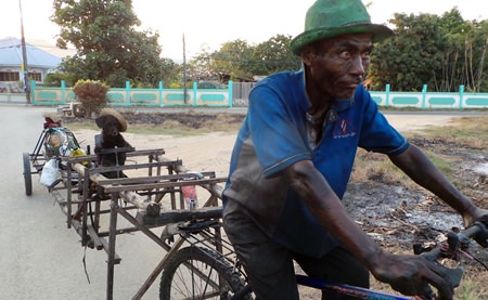 Sawang Poltamai peddles a bicycle along Sukhumvit Road towing a wooden trailer on which sits Nasan, a 5-month-old poodle wearing a hat, behind a fake steering wheel.