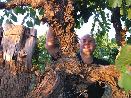 Winemaker John Quarisa