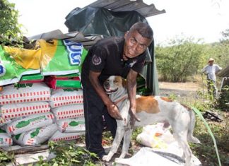 Bigda, a 10-month-old Thai-breed dog, suffered two cuts from the burglar’s knife requiring 10 stitches to close.