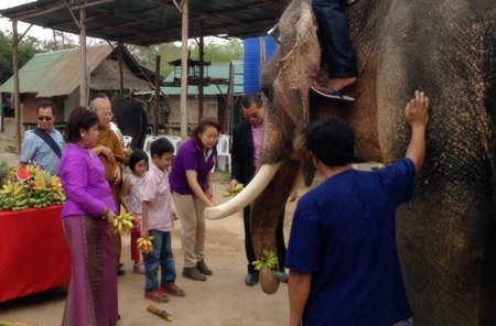 M.R. Worapapa Jakapan, a descendant of King Rama V, presides over the “Love Elephants, Love Mahouts” event at Chi Chan Elephant park on National Elephant Day.