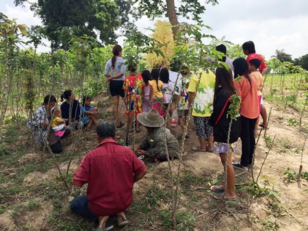 Times are tough - people trample a local woman’s cassava crops every day in hopes this yellow colored bush will somehow reveal winning lottery numbers.