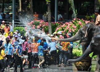 Elephants join the fun as Songkran gets underway at Nong Nooch Tropical Gardens. Closer to home, nearly 700 police, city officials, military, and volunteers will patrol Beach Road as Pattaya’s Songkran celebration makes its splashy finale Sunday.