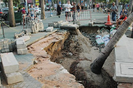 Flood waters washed away support for this recently planted tree along the Beach Road promenade.