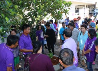 Residents of Nongprue Sub-district neighborhoods learn how to earn extra money by growing limes.