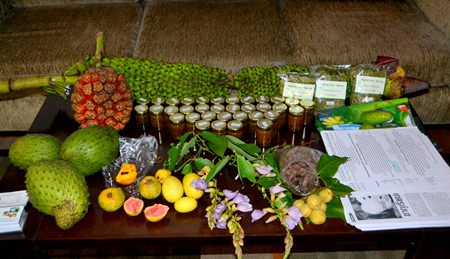 In addition to the plants shown, Hans Fritschi also brought along several other items that he has at his Discovery Garden, such as Apple guava and Butterfly Pea tree (Clitoria racemosa) which his website notes, if you are looking for a fast growing tropical tree that produces shadow quickly this is a good solution.
