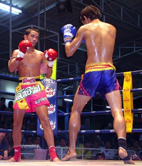 Pattaya set to host a week of top martial arts action from June 14-21.