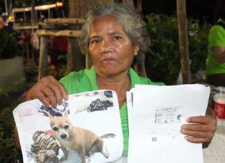 Boonmee Pluemjai is offering a reward for the return on Pok Pak.