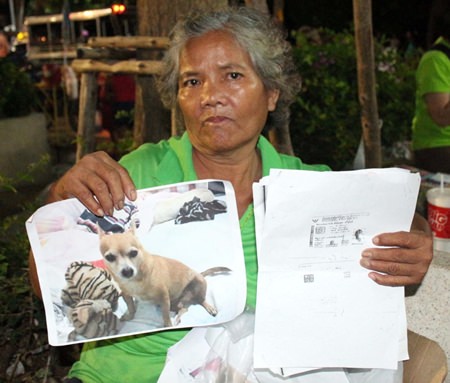 Boonmee Pluemjai is offering a reward for the return on Pok Pak.