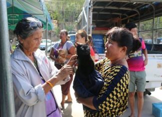 Nongprue Sub-district offered sterilization shots and vaccine jabs for cats and dogs, including any stray animals brought to the shelter.