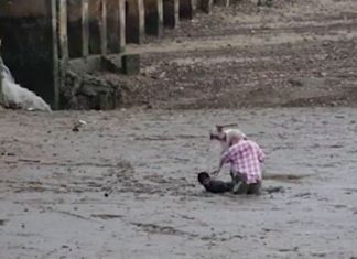 Man saves 2 Norwegian bird watchers sinking in Thailand mud In this image made from video provided by Theerasak Saksritawee, Thai construction worker Chat Ubonchinda lies in the mud as he helps two unidentified Norwegian bird watchers who were sinking into a mudflat in Krabi, southern Thailand, Friday, Oct. 16. Chat lay down in the mud to allow the pair to use his body to pry themselves to safety. (Theerasak Saksritawee via AP)