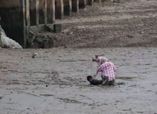 In this image made from video provided by Theerasak Saksritawee, Thai construction worker Chat Ubonchinda lies in the mud as he helps two unidentified Norwegian bird watchers who were sinking into a mudflat in Krabi, southern Thailand, Friday, Oct. 16. Chat lay down in the mud to allow the pair to use his body to pry themselves to safety. (Theerasak Saksritawee via AP)