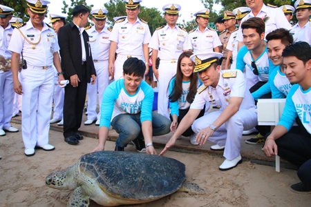 Among the 989 green and hawksbill turtles set free was a 15-year-old breeder.