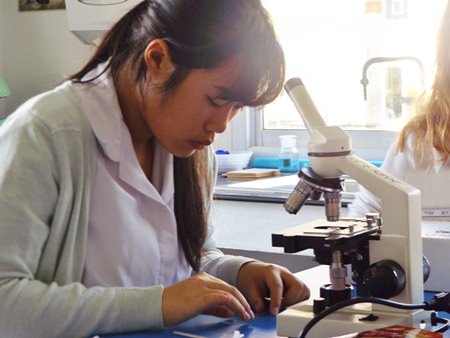 St Andrews Students have been working hard in preparation in the upcoming Science Fair.