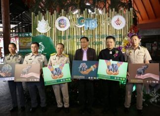 Night Safari hosts elephant conservation campaign The Director General of the Department Thanya Netidhammadul joined Deputy Governor Krit Thanawanich and Dr.Sarawut Srisakul, acting for Director of Pingkanakorn Development Agency (Public Organization) for the opening ceremony of “The Future of Elephant is in Our Hands” campaign at the Chiang Mai Night Safari on March 3 -5, 2016.