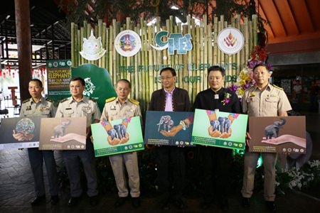 The Director General of the Department Thanya Netidhammadul joined Deputy Governor Krit Thanawanich and Dr.Sarawut  Srisakul, acting for Director of Pingkanakorn Development Agency (Public Organization) for the opening  ceremony of “The Future of Elephant is in Our Hands” campaign at the Chiang Mai Night Safari on March 3 -5, 2016.