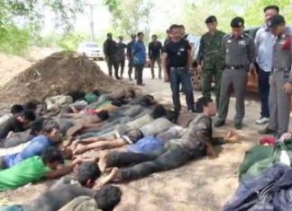 Cambodian rosewood smugglers rounded up in Prachinburi