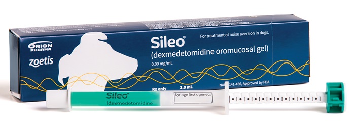Fido and Spot may not have to cower under the bed this summer when fireworks and thunderstorms hit, with the launch of Sileo, the first medicine approved for treating anxiety over loud noises. (Zoetis via AP)