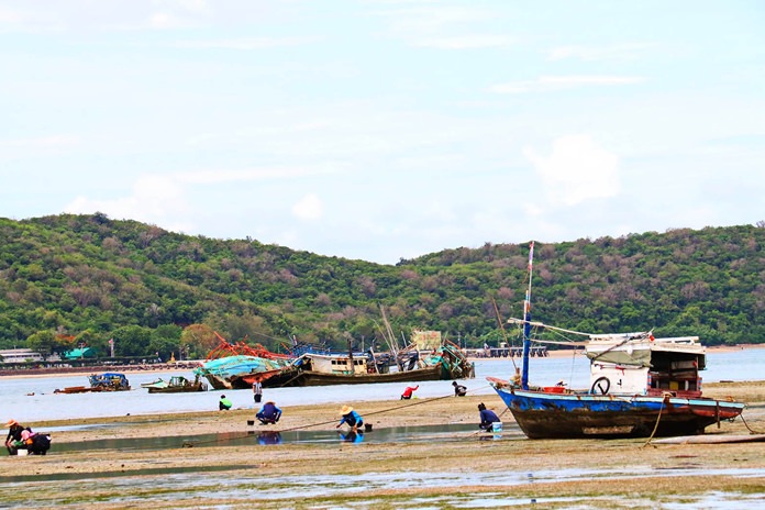An extremely low tide gave surprised Sattahip residents a peek at a previously hidden boat graveyard off the coast.