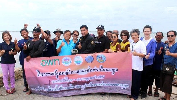 Rayong’s Marine Development and Research Center recently planted sea grass in Naklua Bay.