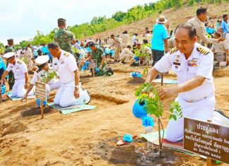 Sattahip residents plant 6,000 trees