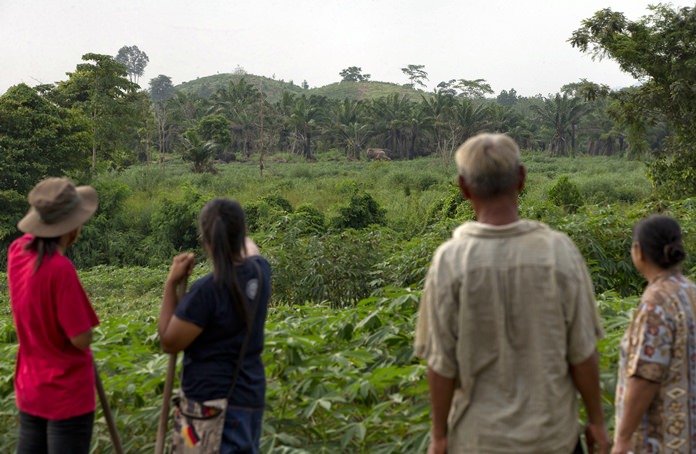 In this Thursday, Aug. 18, 2016 photo, Boonchu Sirimaha, and his family, who became the first in the village to participate in a beehive fencing research project, watch wild elephants from their farmland in Pana, southeastern province of Chanthaburi. (AP Photo/Gemunu Amarasinghe)