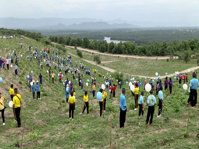 EGAT in Lampang launches reforestation project